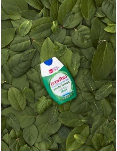 LICOR DEL POLO 2 EN 1 MENTA FRESCA 12x75ML