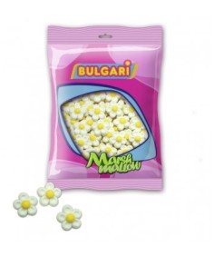 MARGARITAS BLANCAS 6x100