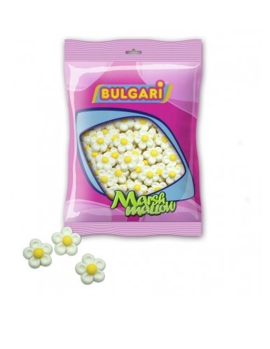 MARGARITAS BLANCAS 6x100