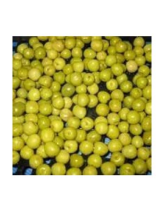 PERDIGON PELOTIN 2,5KGS C-2