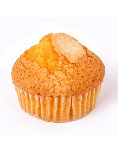 MAGDALENAS DE ACEITE 2 KGS