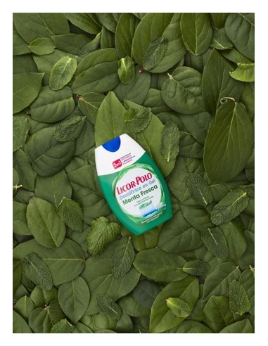 LICOR DEL POLO 2 EN 1 MENTA FRESCA 12x75ML