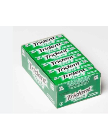 TRIDENT STICK CLOROFILA 30x24