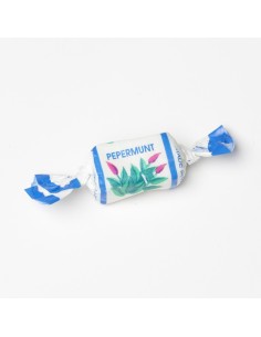 VERQUIN AIR MINT 12x1KG