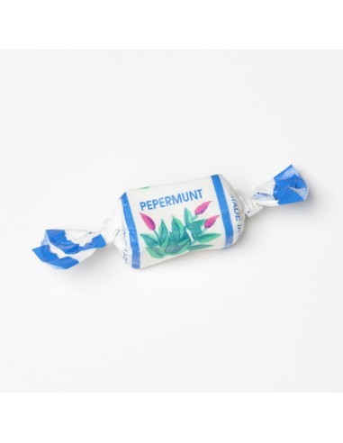 VERQUIN AIR MINT 12x1KG