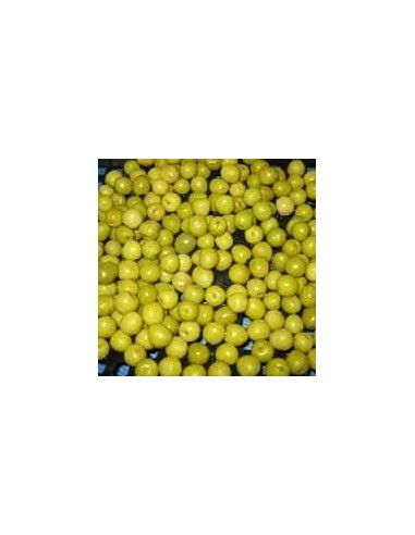 PERDIGON PELOTIN 2,5KGS C-2